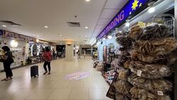 Lucky Plaza (D9), Shop House #628803931